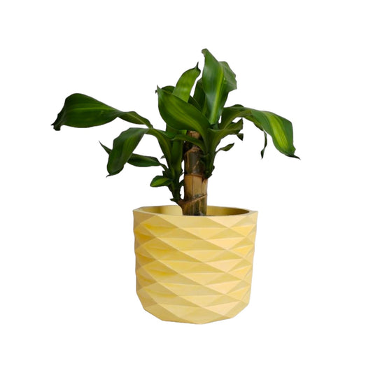 Matera Carlota Petty de Cemento 12.5x15 cm Amarillo