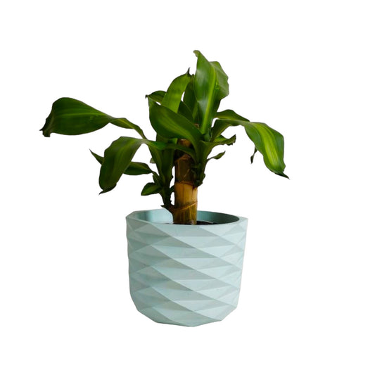 Matera Carlota Petty de Cemento 12.5x15 cm Aguamarina