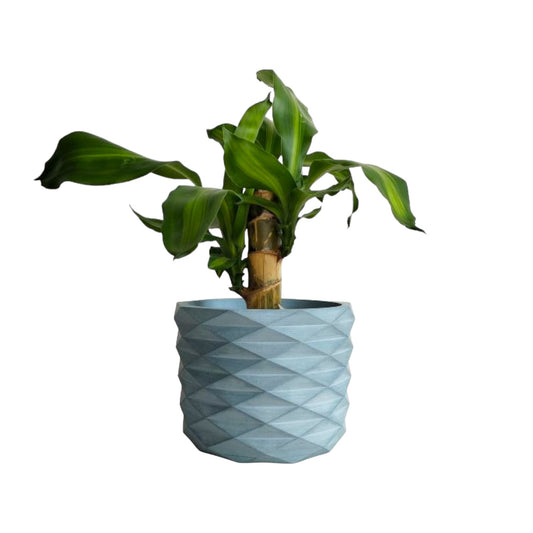 Matera Carlota Petty de Cemento 12.5x15 cm Azul petróleo