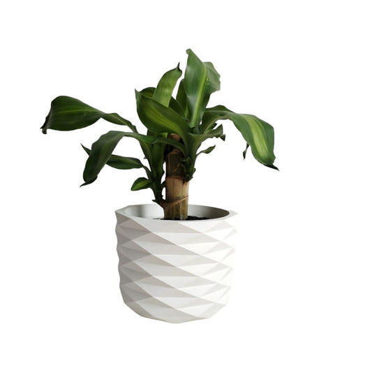 Matera Carlota Petty de Cemento 12.5x15 cm Blanco