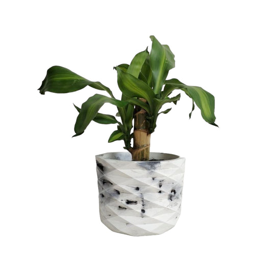 Matera Carlota Petty de Cemento 12.5x15 cm Marmól Negro