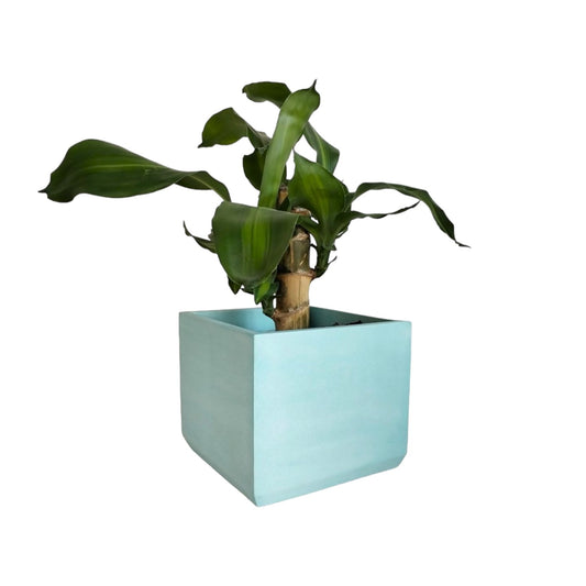 Matera Eloisa en cemento 15x15 cm Aguamarina