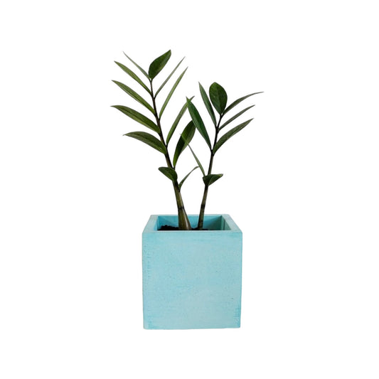 Matera Eloisa Petty en cemento 10x10 cm Aguamarina