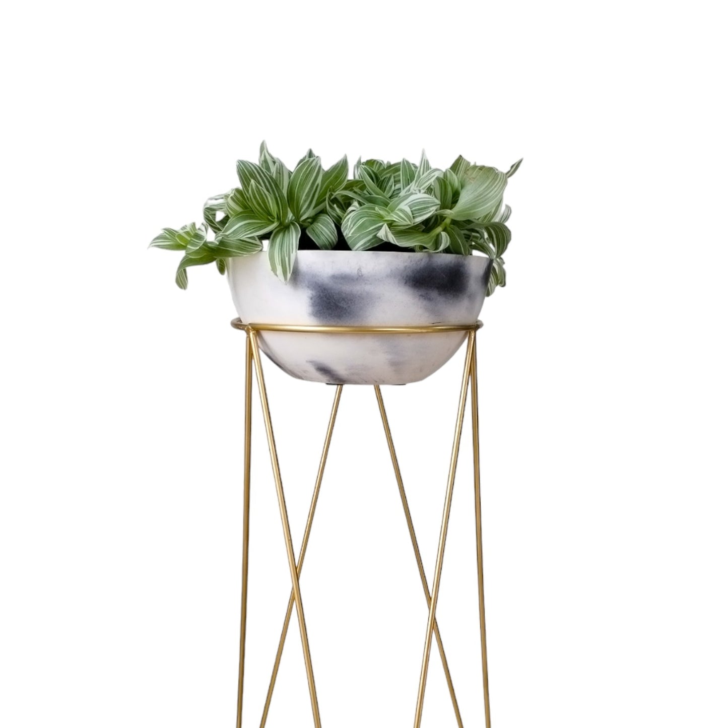 Matera Bowl de Cemento 11x24 cm Mármol negro + Base Metalica Dorada 60 cm