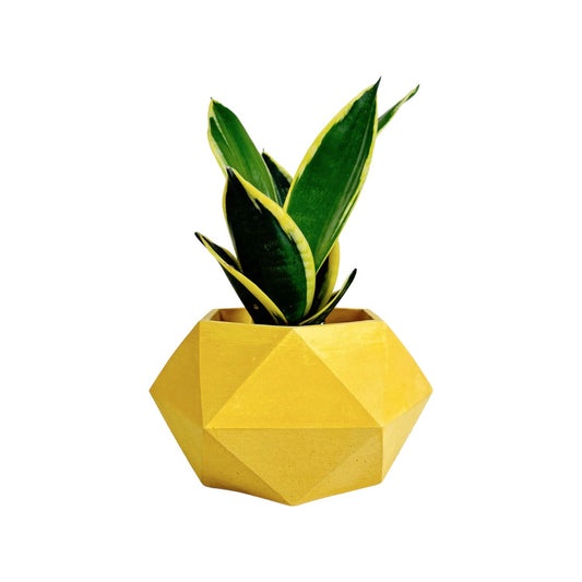 Matera Adara en cemento 10.5x11x18 cm Amarillo