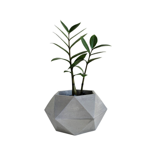 Matera Adara en cemento 10.5x11x18 cm Gris