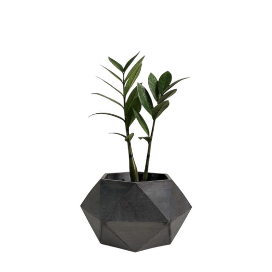 Matera Adara en cemento 10.5x11x18 cm Oscuro