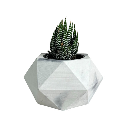 Matera Adara Petty en cemento 6.5x7x11 cm Mármol Negro