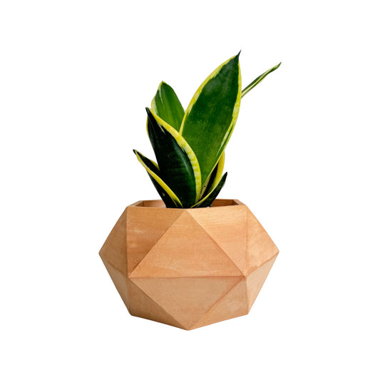 Matera Adara en cemento 10.5x11x18 cm Terracota