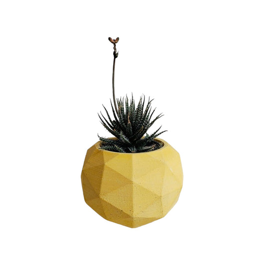 Matera Laia de Cemento 7.5x6.5 cm Amarillo