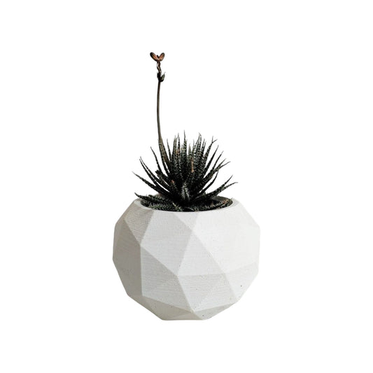 Matera Laia de Cemento 7.5x6.5 cm Blanco