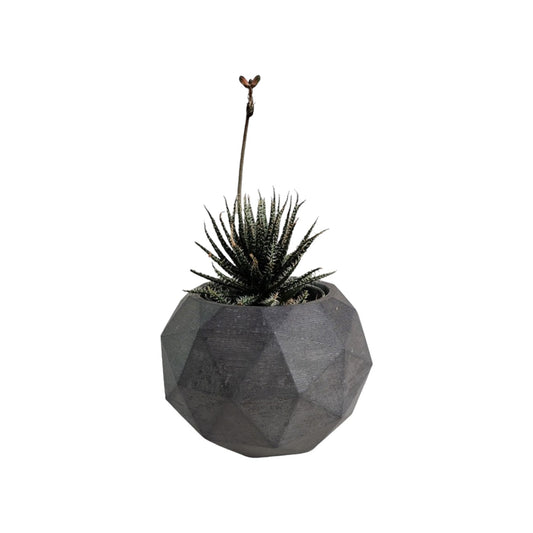 Matera Laia de Cemento 7.5x6.5 cm Oscuro