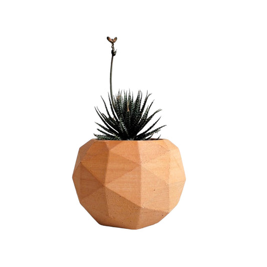 Matera Laia de Cemento 7.5x6.5 cm Terracota