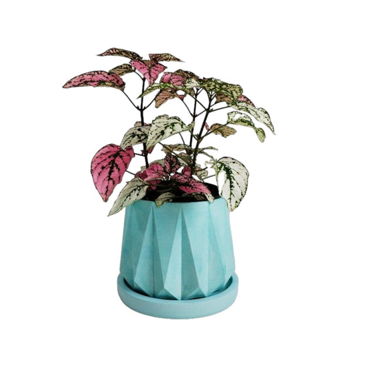 Matera Lirio en cemento 10x10.5x11.5 cm Aguamarina