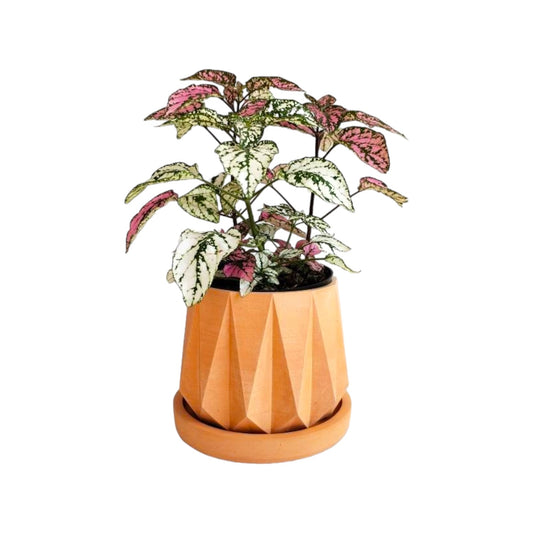 Matera Lirio en cemento 10x10.5x11.5 cm Terracota