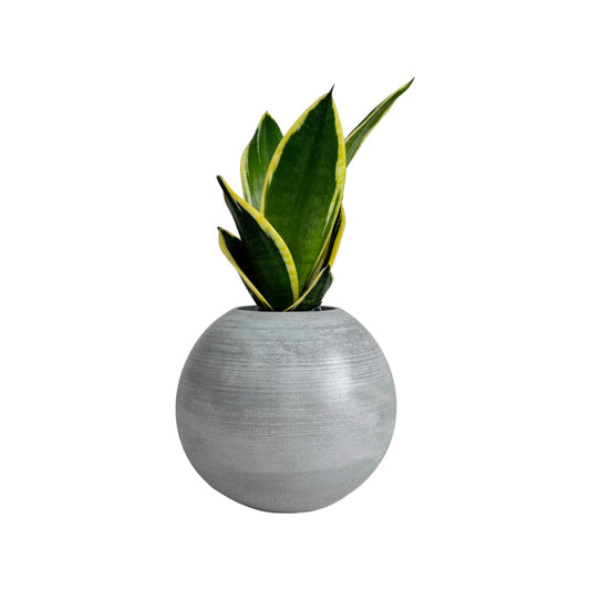 Matera Luna en cemento 13x7x15 cm Gris