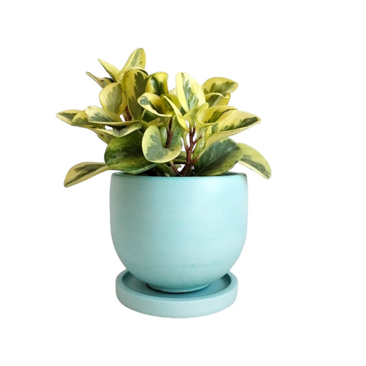 Matera María en cemento 13x15x cm Aguamarina