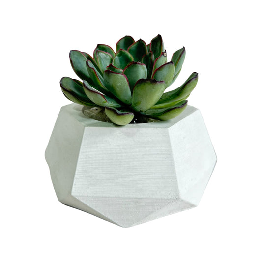Matera Jade de cemento 10x6.5x14 cm Blanco
