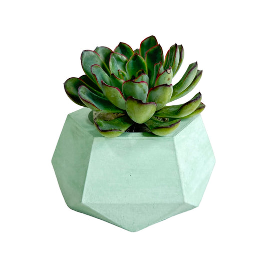 Matera Jade de cemento 10x6.5x14 cm Menta