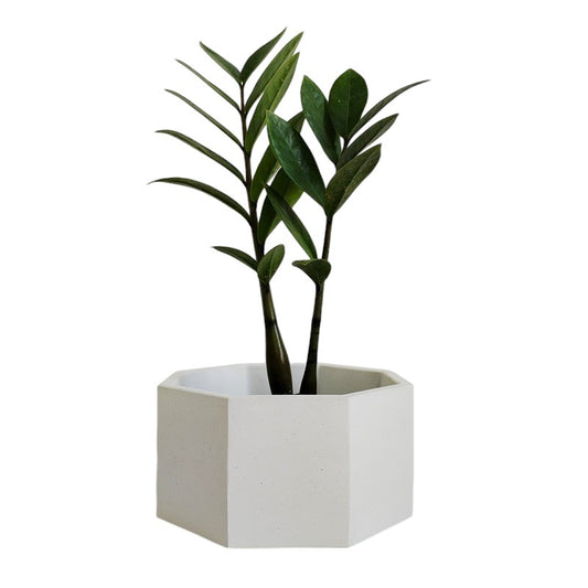 Matera Terrario Hexagonal de Cemento 8.5x18 cm Blanco