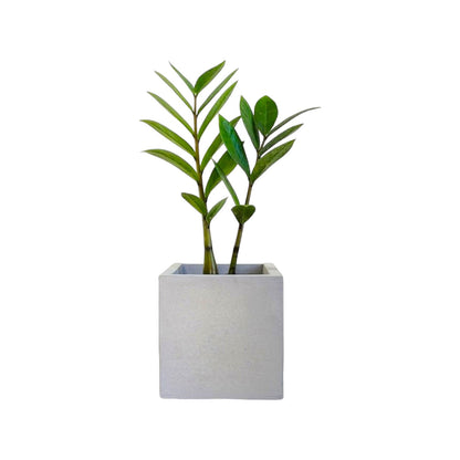 Matera Eloisa Petty en cemento 10x10 cm Gris