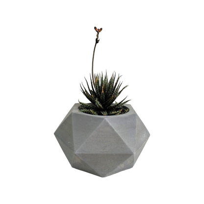 Matera Adara Petty en cemento 6.5x7x11 cm Gris