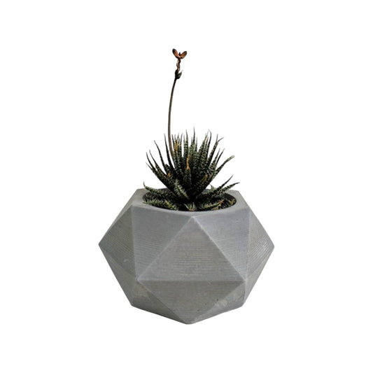 Matera Adara Petty en cemento 6.5x7x11 cm Gris