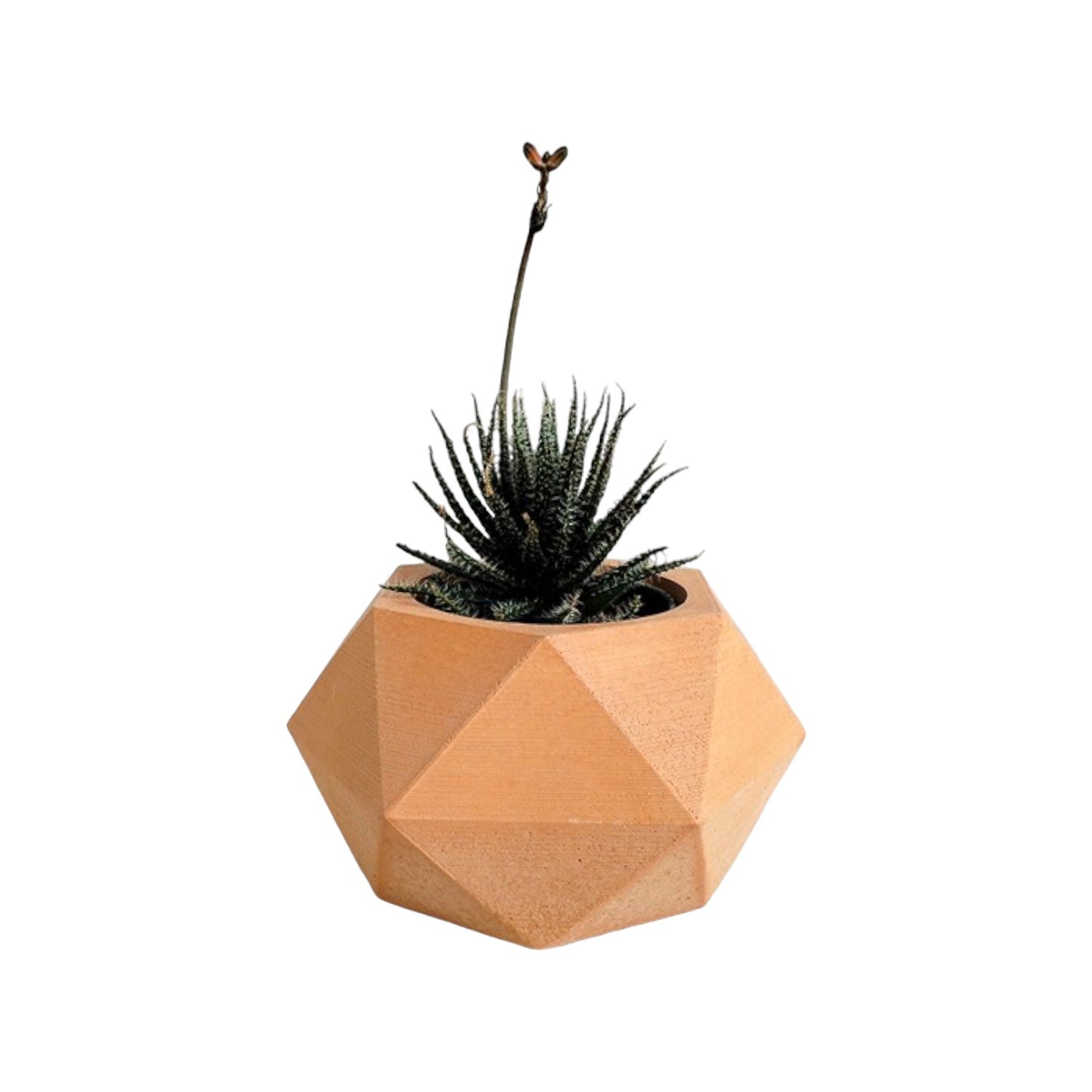 Matera Adara Petty en cemento 6.5x7x11 cm Terracota