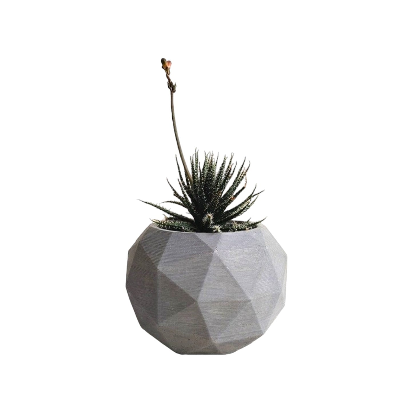 Matera Laia de Cemento 7.5x6.5 cm Gris