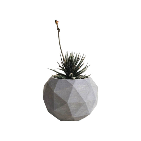 Matera Laia de Cemento 7.5x6.5 cm Gris