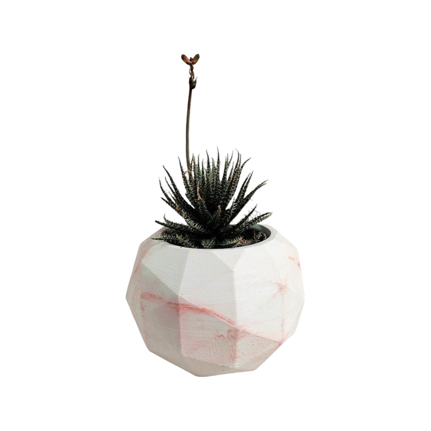 Matera Laia de Cemento 7.5x6.5 cm Marmól Rosa