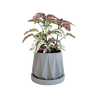 Matera Lirio en cemento 10x10.5x11.5 cm Gris