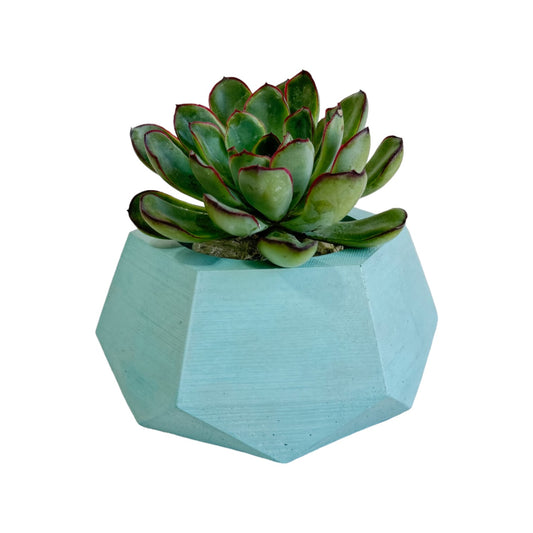 Matera Jade de cemento 10x6.5x14 cm Aguamarina
