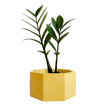 Matera Terrario Hexagonal de Cemento 8.5x18 cm Amarillo