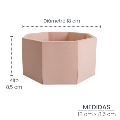 Matera Terrario Hexagonal de Cemento 8.5x18 cm Palo de Rosa